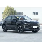 Neta X 500– Buy Direct From China | Hybrid Cars From China - Chinese Cars Available in Senegal - Image 11